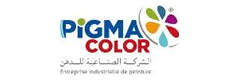 Pigma Color